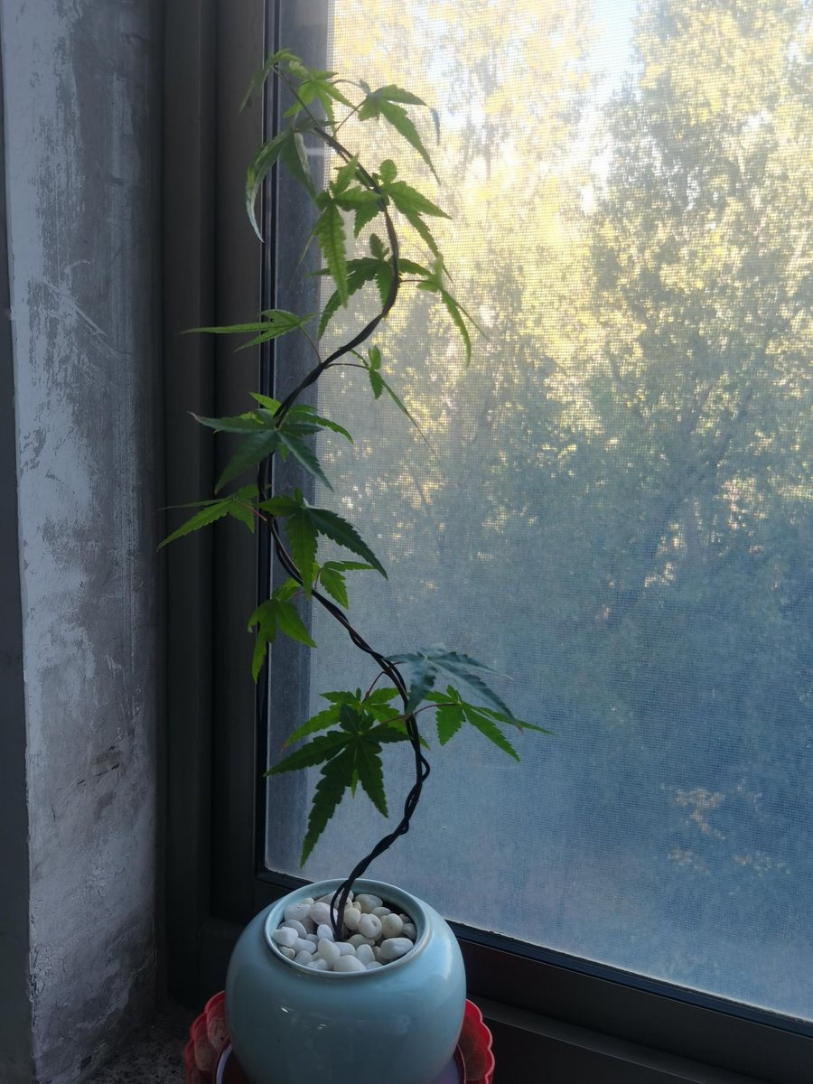 Costes Bertrand tweet media