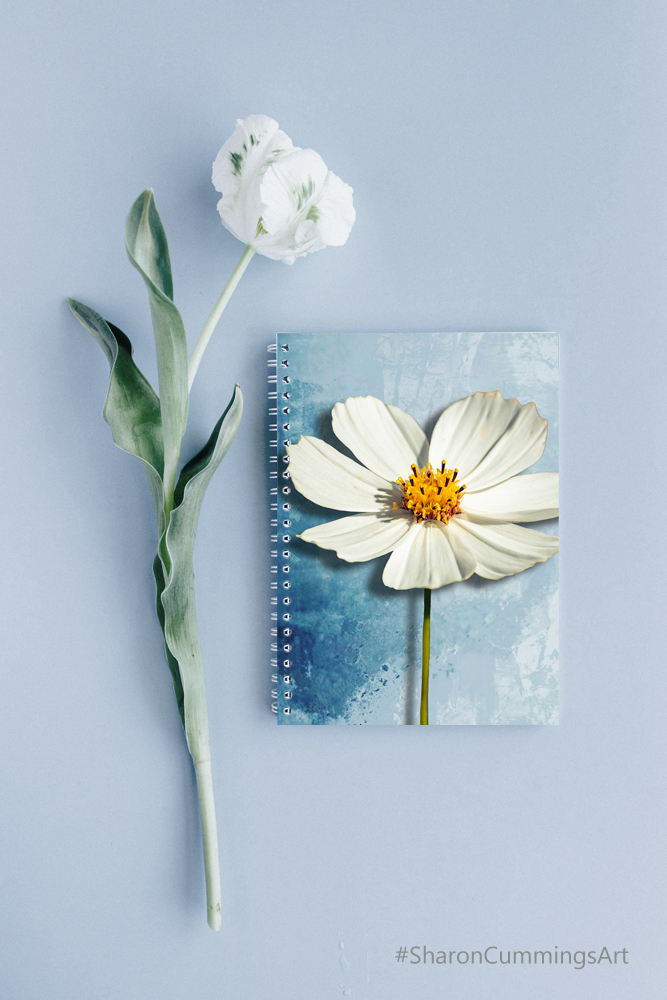 Terracegallery's tweet image. Soft White Cosmos: fineartamerica.com/featured/soft-… #white #cosmos #flower #flowers #floral #garden #spring #springtime #SharonCummingsArt #happy #happiness #garden #gardening #homedecor #interiors