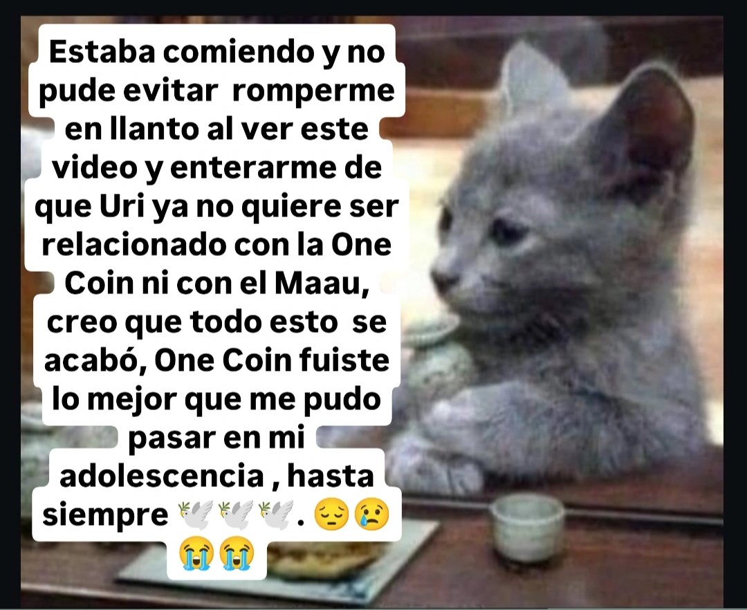 sirio_pr0's tweet photo. @Space_Cowboy555 https://t.co/rFI5lwiFyu