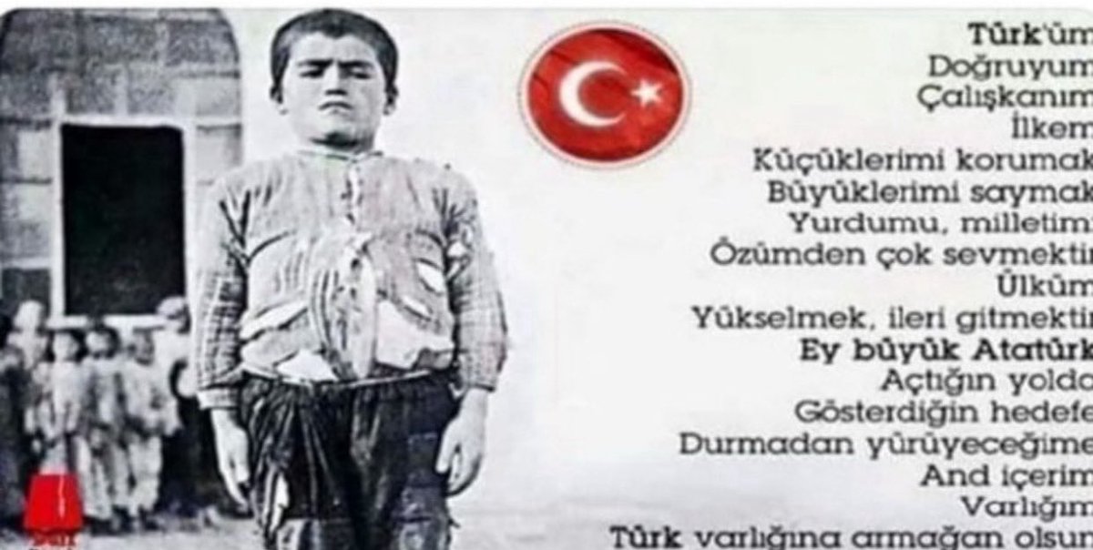 Oktay Zingal tweet media