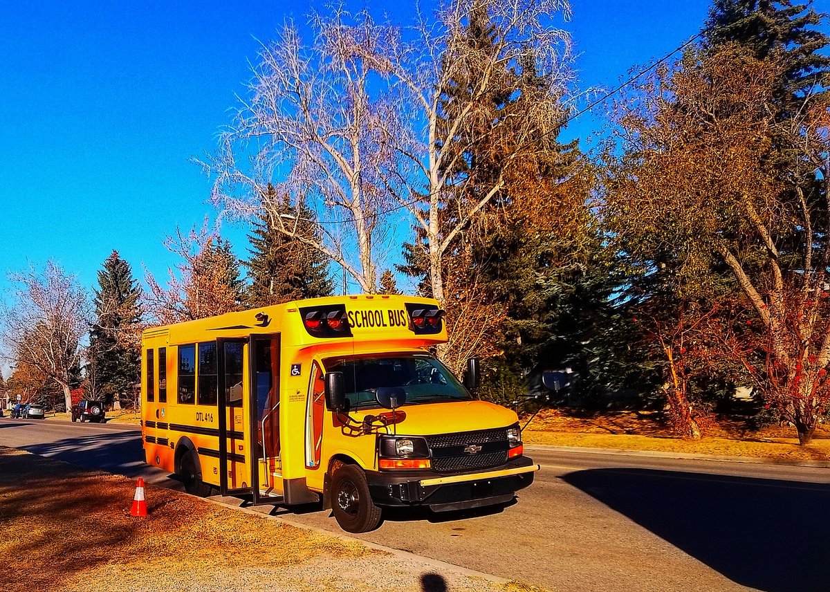 I Japa at 40+ 🇳🇬 → 🇨🇦 tweet media