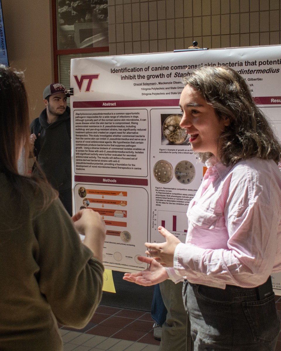FralinLifeSci's tweet photo. Getting the dose on new research💊

The Center for Drug Discovery recently held a poster session, where researchers showcased their innovative findings!🔬🙌 https://t.co/TlPwXNSxaz