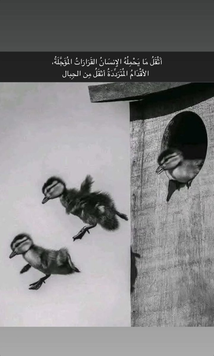 رائد العبيد tweet media