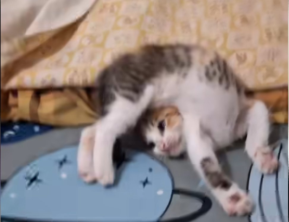 IO: MA COS'È QUESTO MAL DI SCHIENA???
SEMPRE IO, QUANDO DORMO: