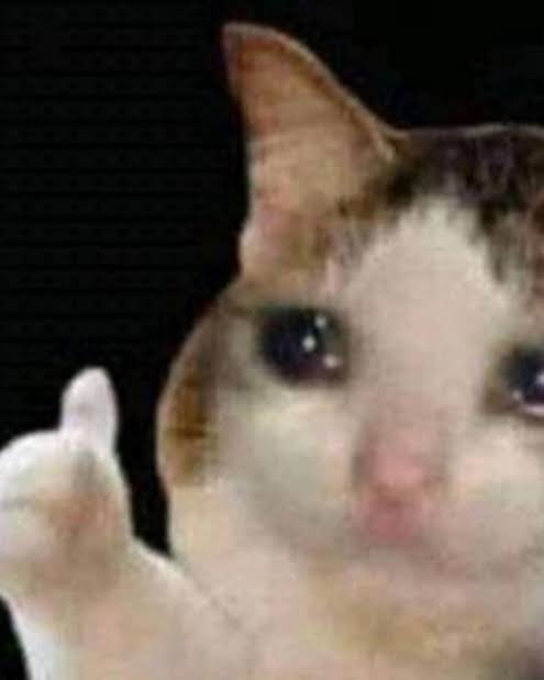 Mac 𖣂 tweet media