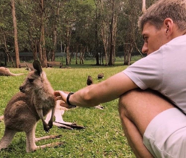 daily lestappen tweet media