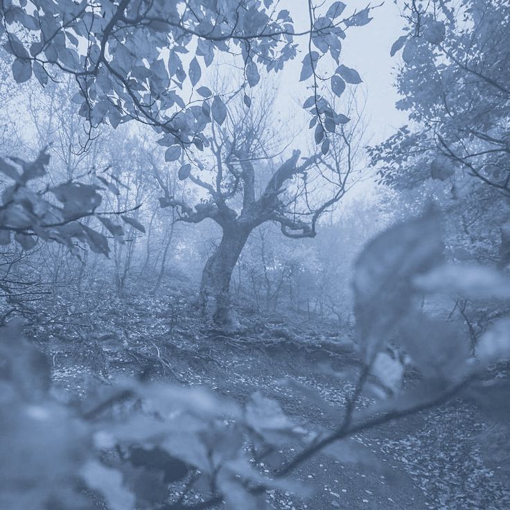 Yuki!!!❄️ tweet media