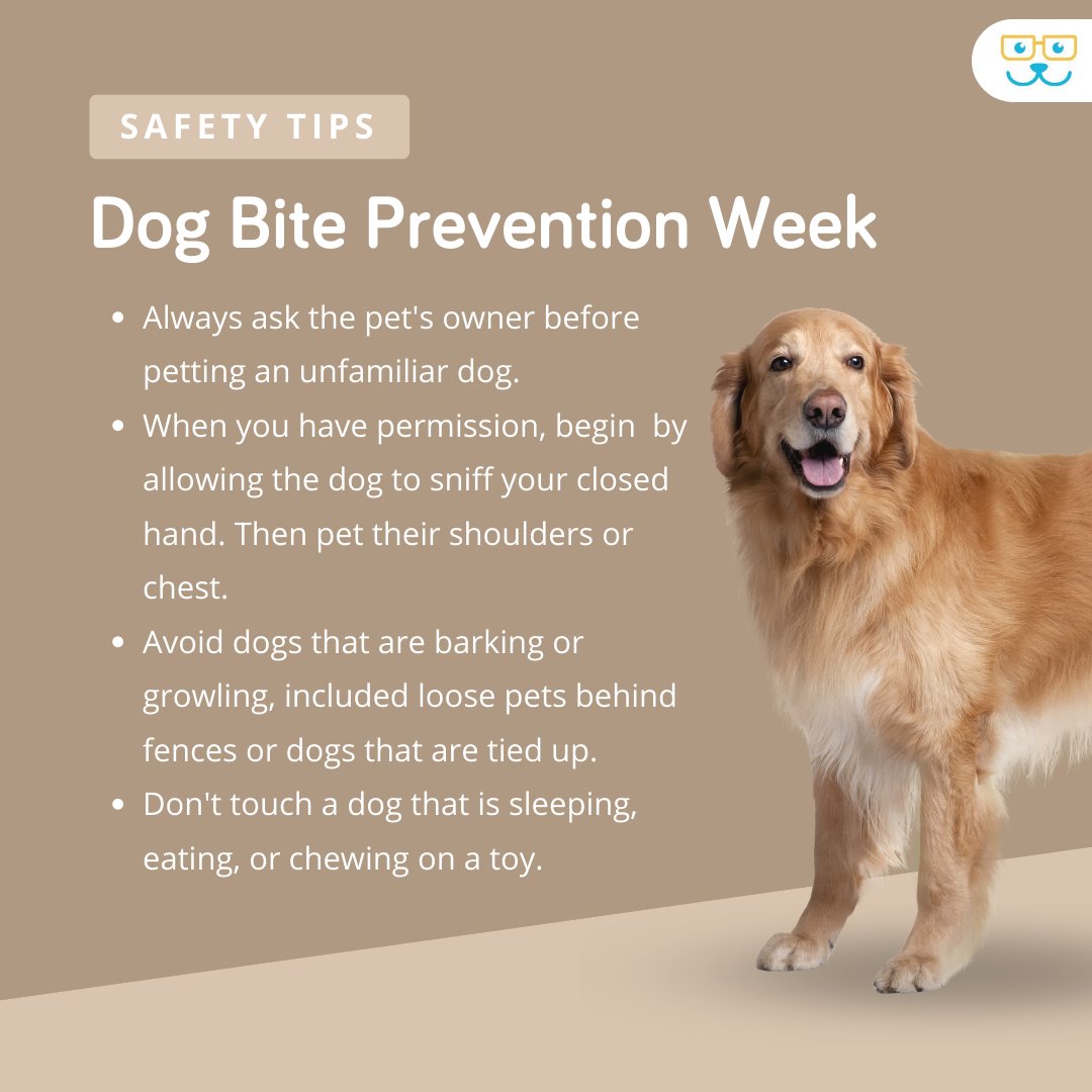 pleasanthill_ah's tweet image. The second week of April is #DogBitePreventionWeek, and awareness and education can protect someone you love. Over 4.5 million people are bitten by dogs every single year - learn how to prevent these bites today. #nationaldogbitepreventionweek #dogbiteprevention #dogbites