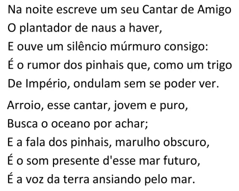 Diogo Cadarn tweet media