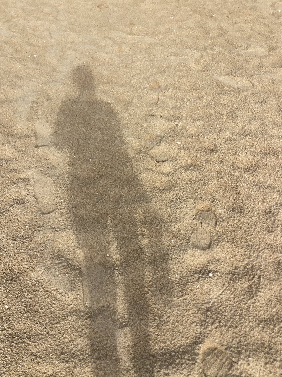 Krelov Franklin tweet media