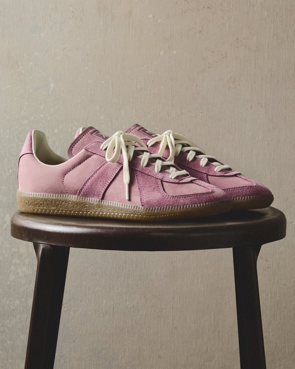 Modern Notoriety tweet media