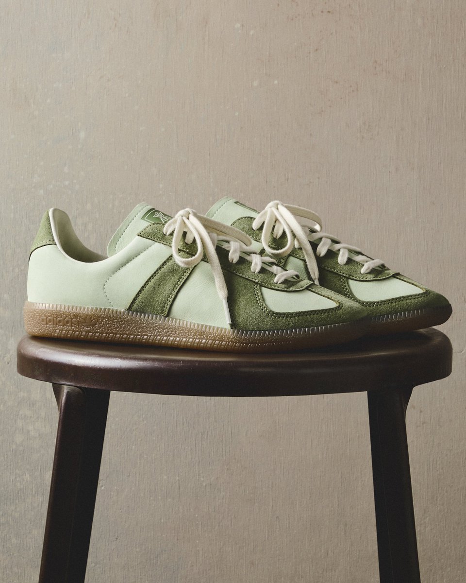 Modern Notoriety tweet media