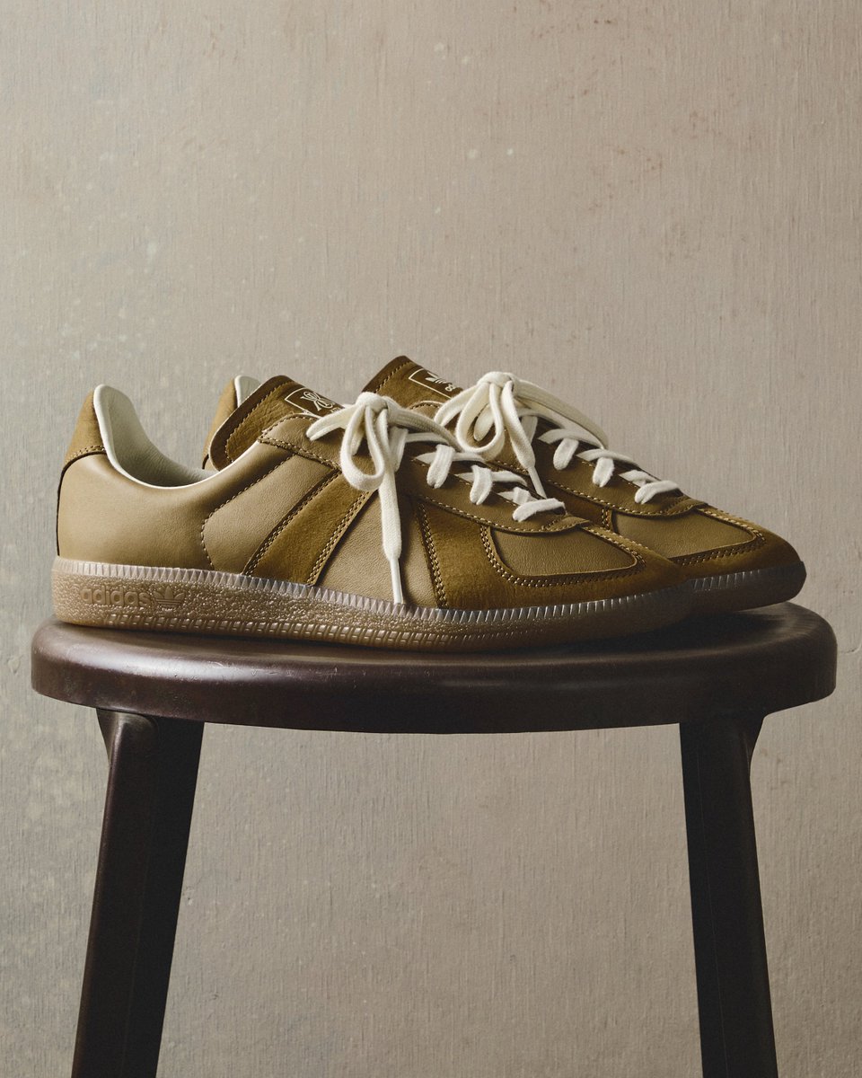 Modern Notoriety tweet media