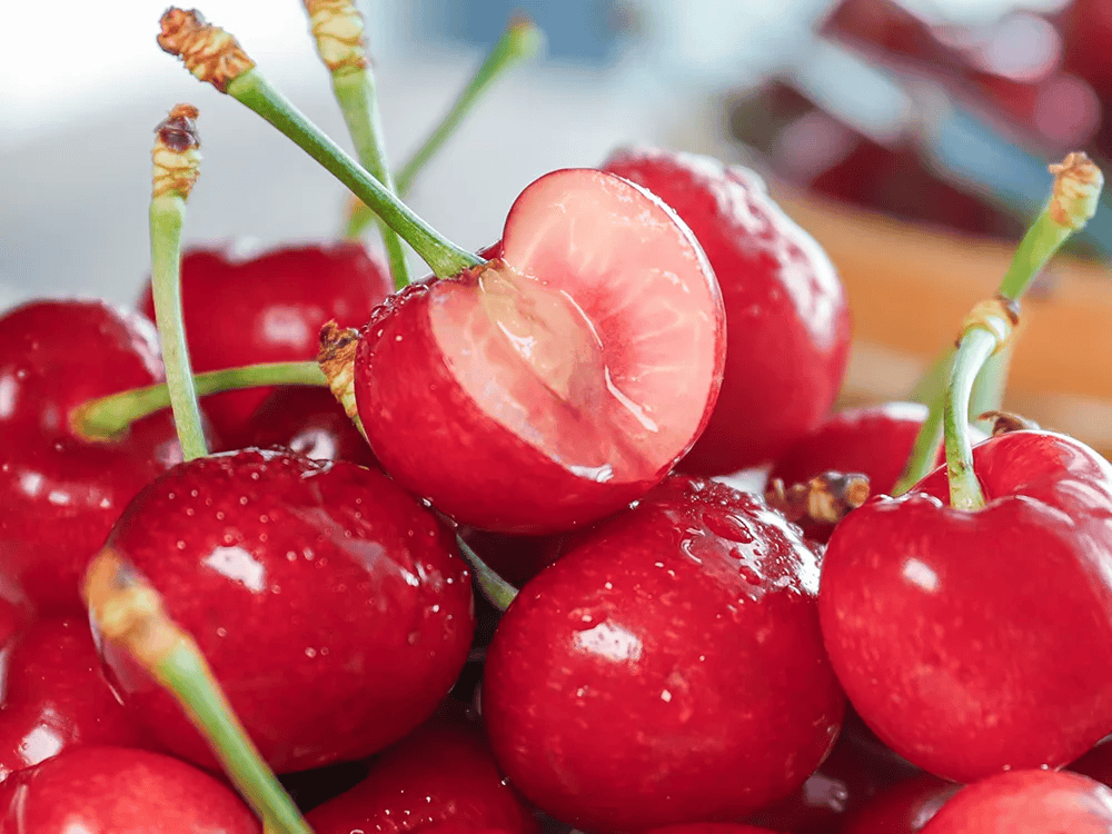 Monserrat Vera❤️👽 tweet media