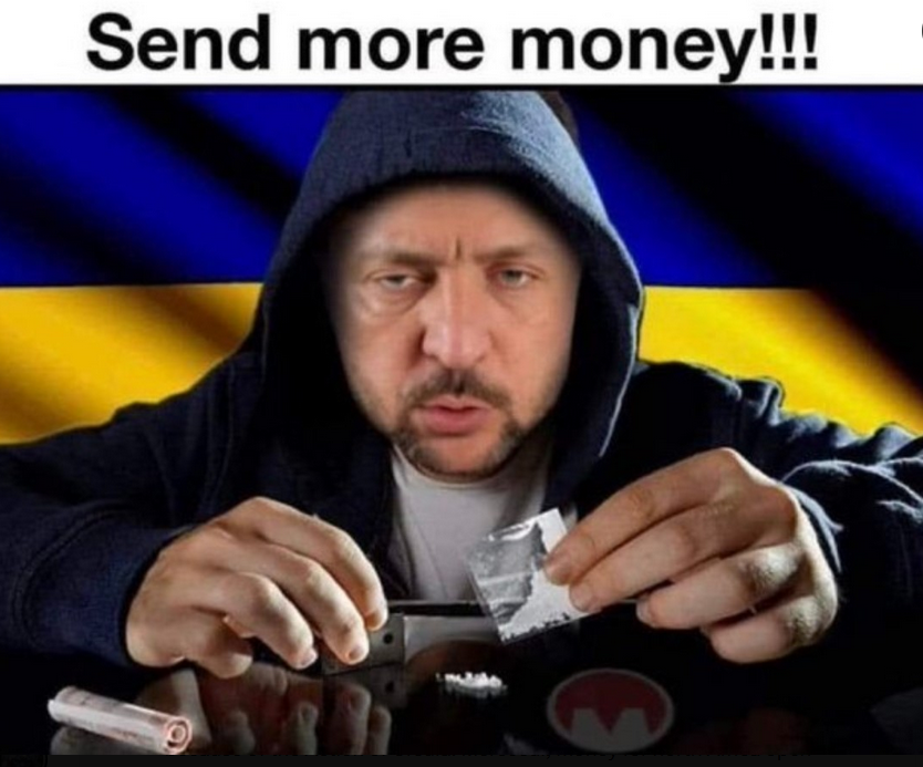 Hermann der Hesse ✪ tweet media