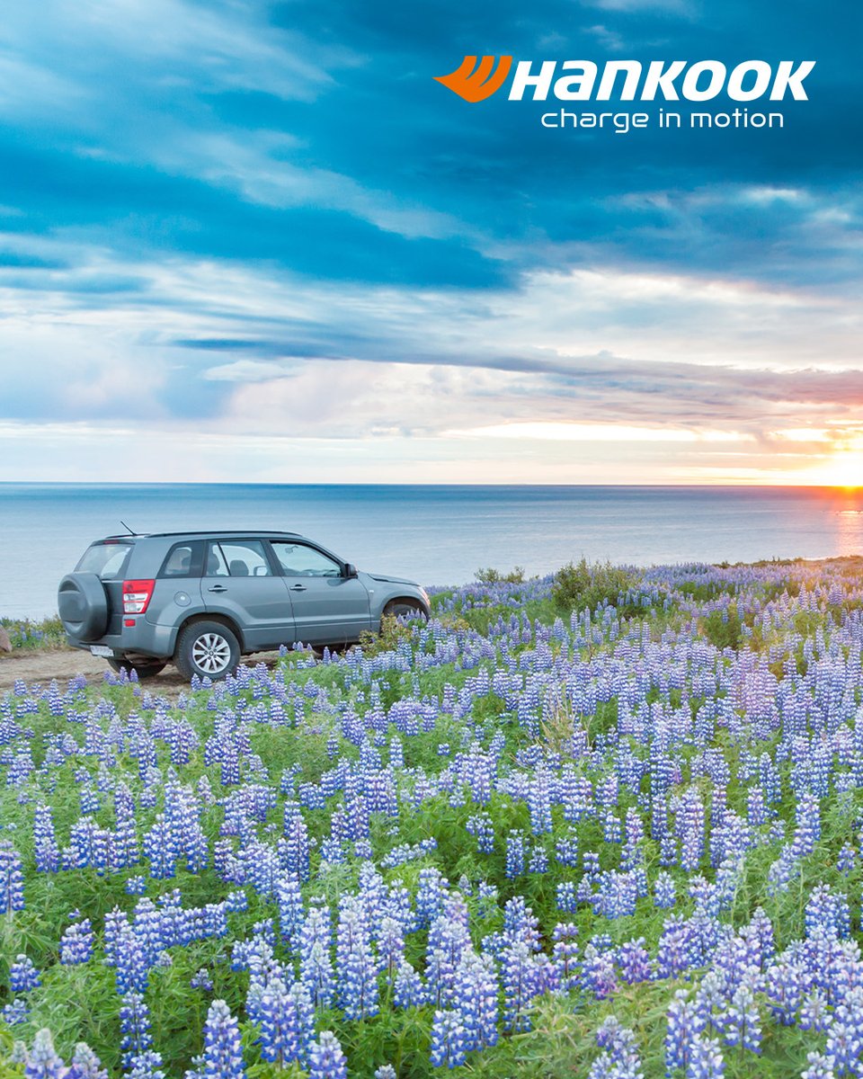 Hankook & Company ES America Corp. tweet media
