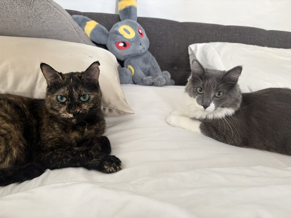 nee ⋆˙⟡ tweet media