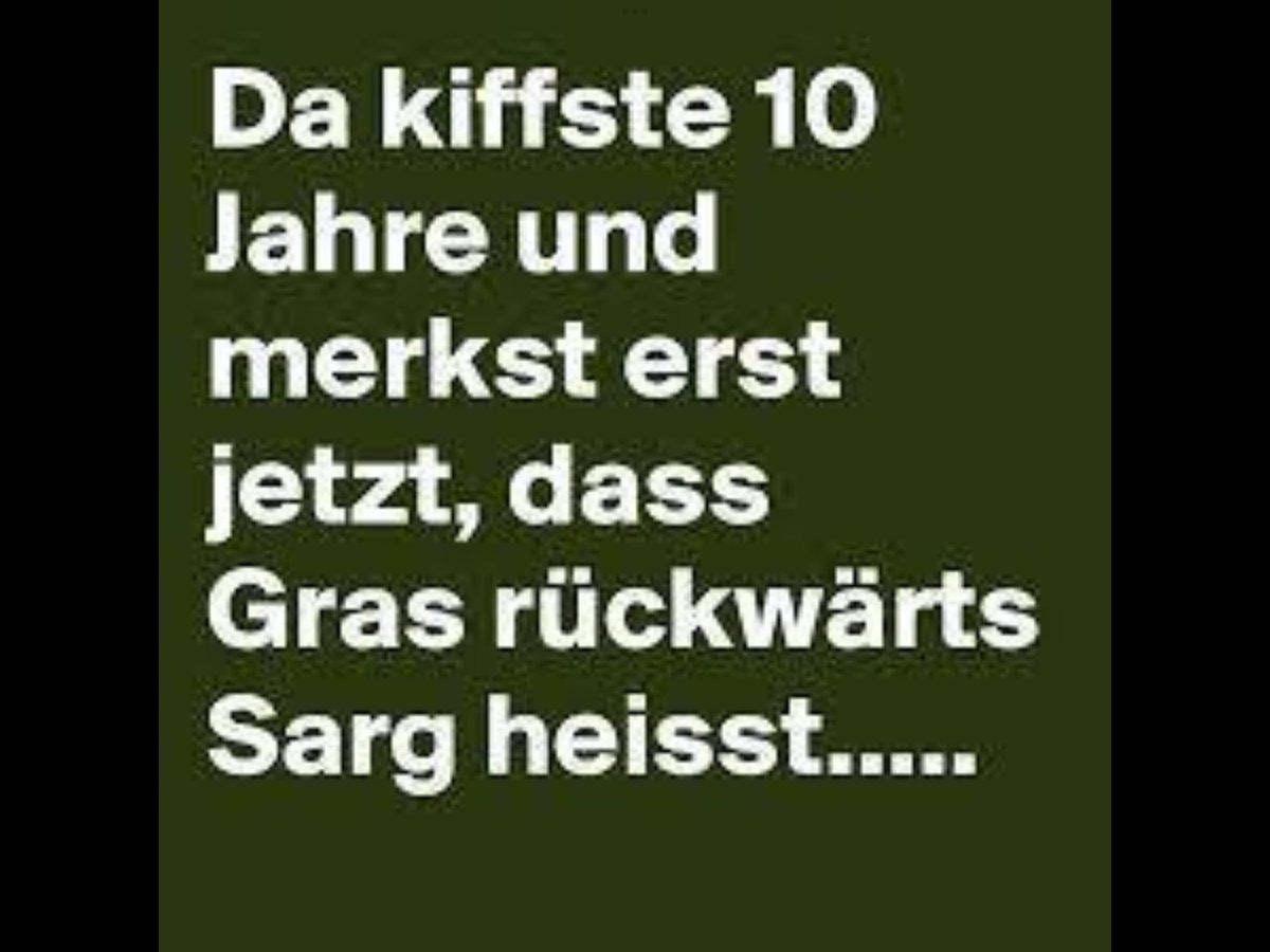 kasimir walach tweet media