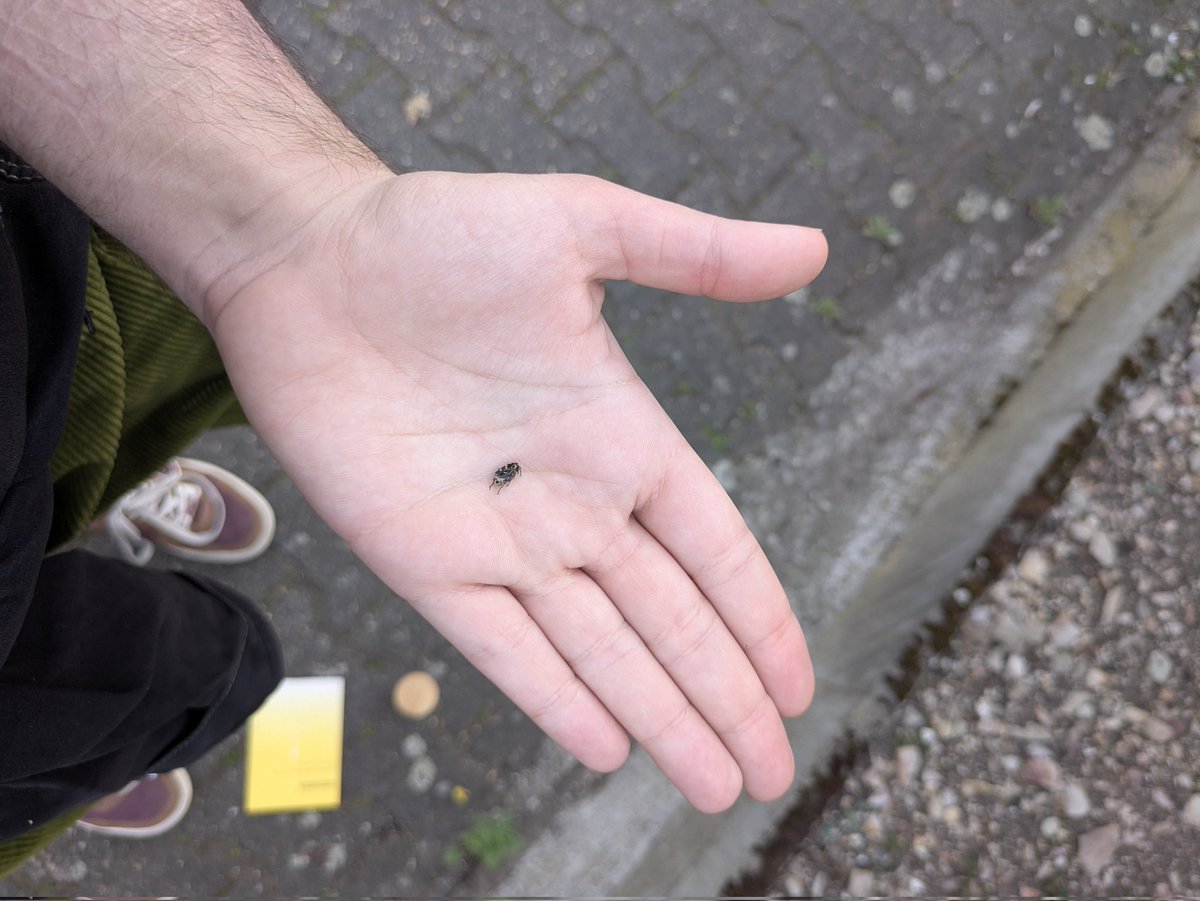 rio 🪲 bug BIOLOGY oomf tweet media