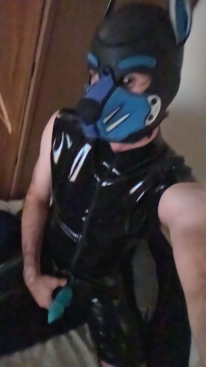 peachytwunk's tweet photo. Shiny pup Saturday fearing new attrire from @SaxFetish

#gay #gayboy #gaybrisbane #gaygoldcoast #gaysunshinecoast #gayaussie #gayfit #uncut #gaybris #gayhung #fetish #rubber #rubberpup #pup #pupplay #kink https://t.co/E2D3WoldSn