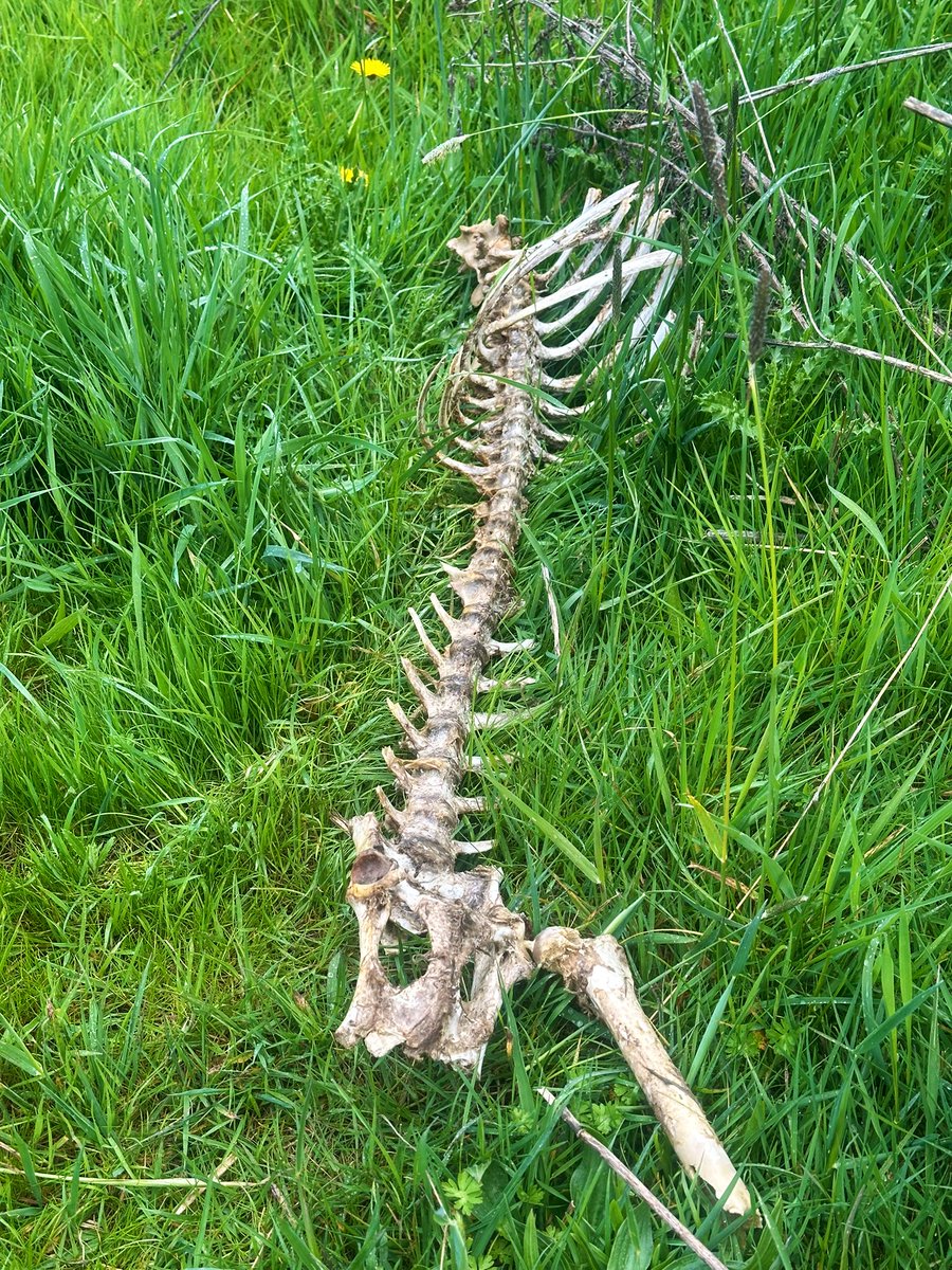 Mike Prysner tweet media