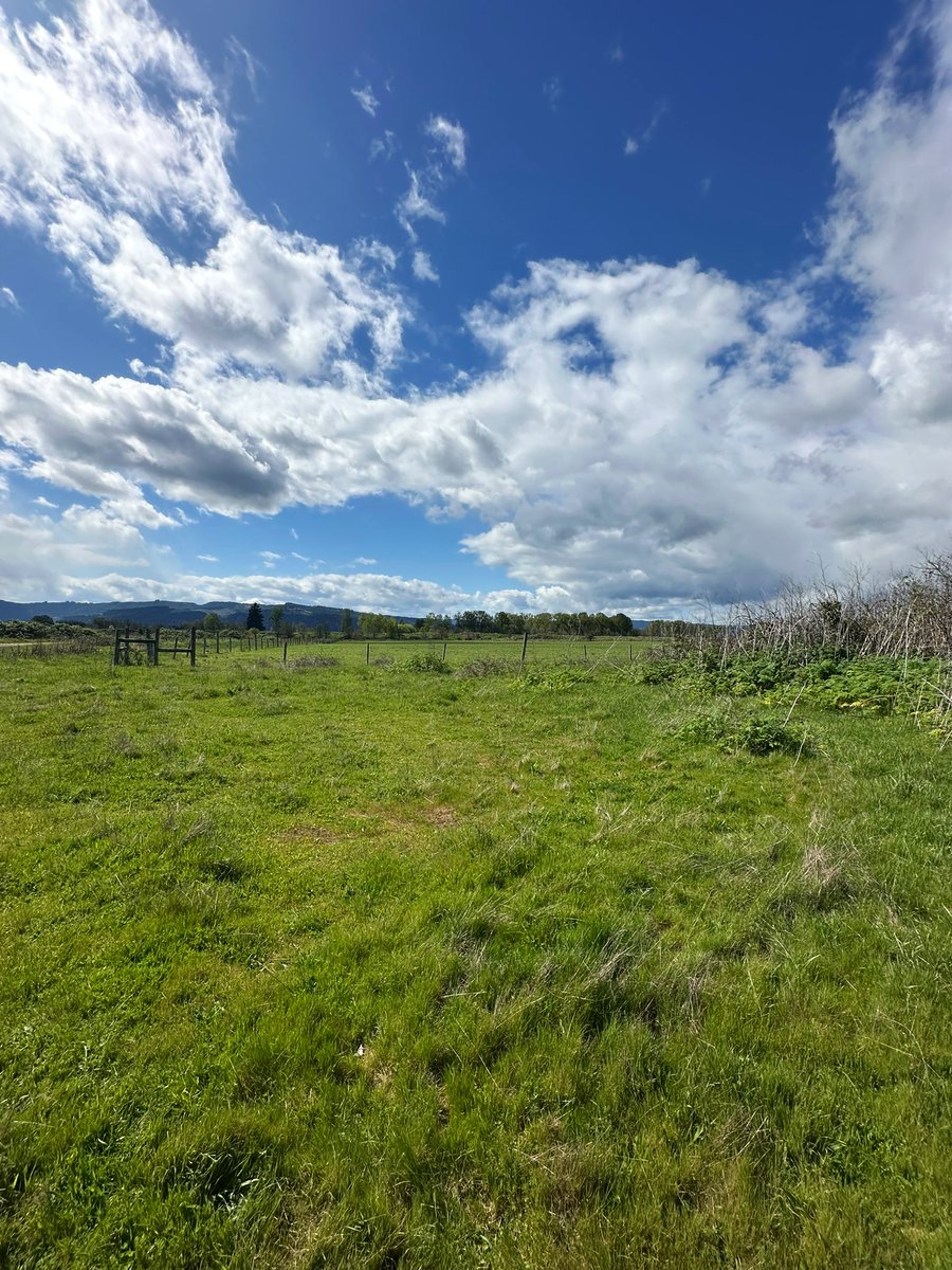 Mike Prysner tweet media