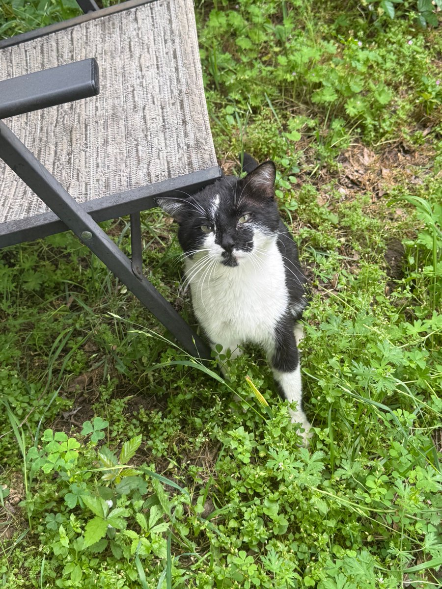 Shannon Minter tweet media