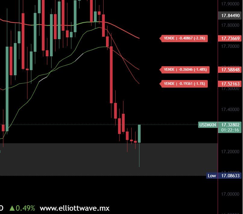 Pedro Tiburcio ™ tweet media