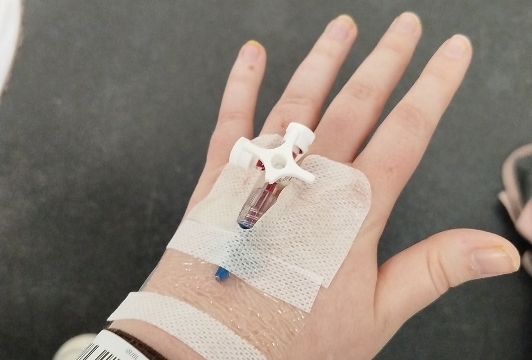 𝖃𝖎𝖔𝖓 tweet media