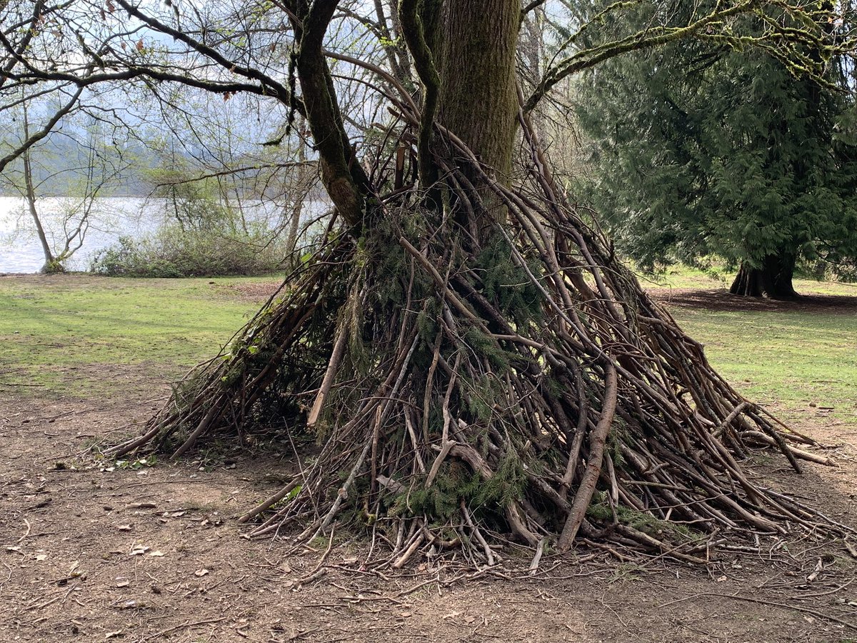 SplatterFilms tweet media