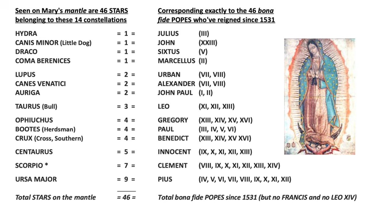 Rosary WMD tweet media