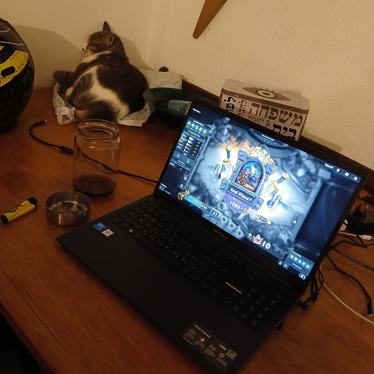 Eden 💙 +4 🐈 tweet media