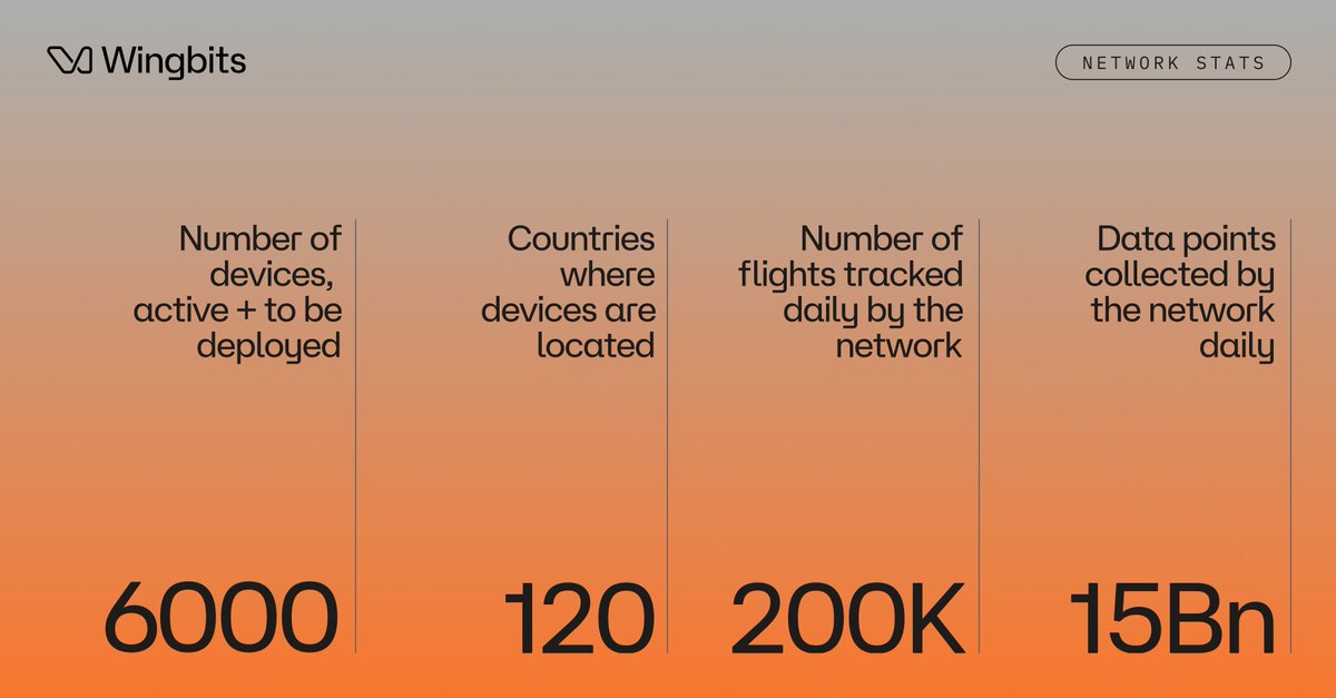 wingbits tweet media