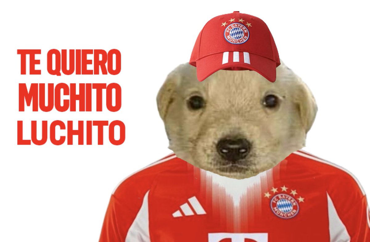 No está de más recordarlo… 👇