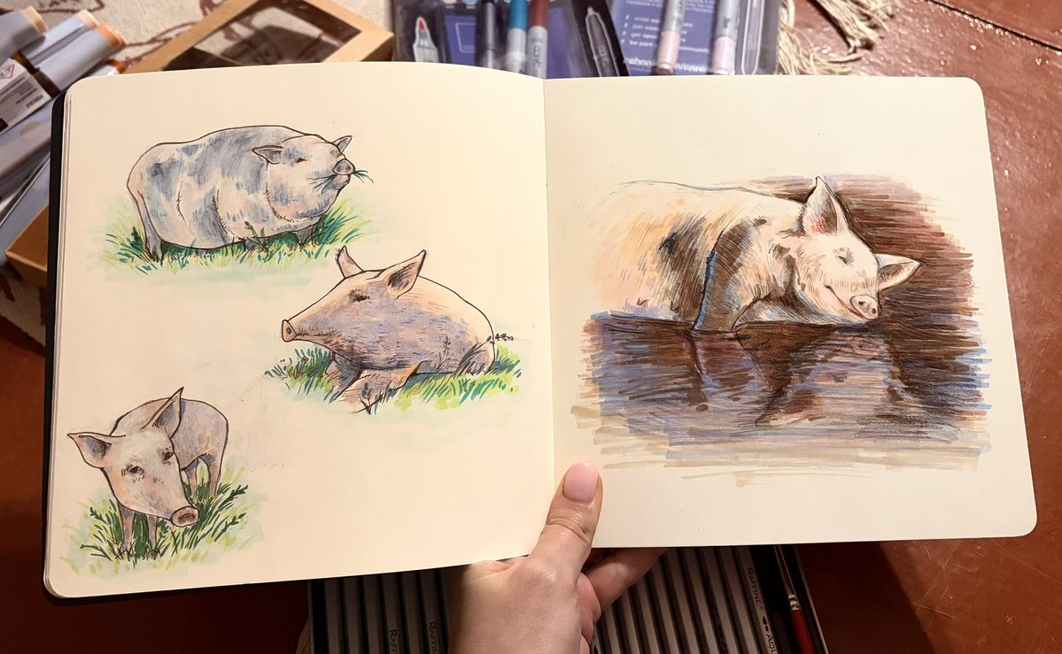 Це я ще не показувала свиней