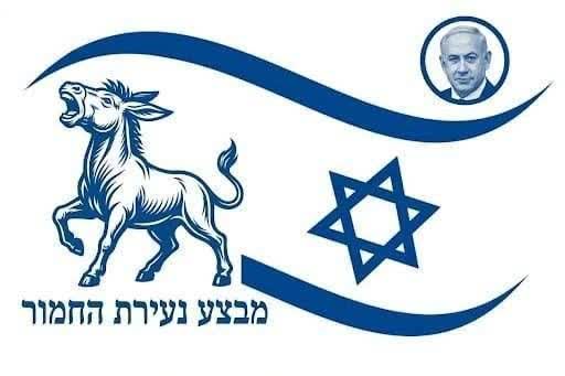 masoom Zeynivand tweet media