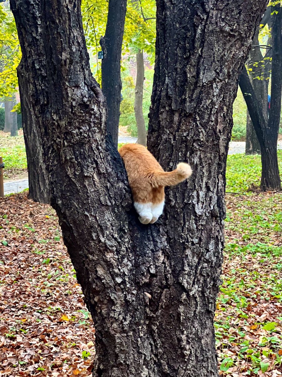 Er Brajesh Arora tweet media