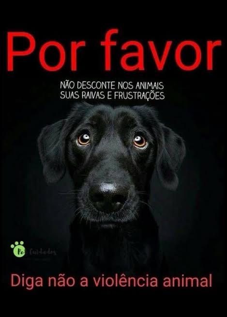 ciniraalves4's tweet photo. @g1rio https://t.co/kufMix69fA