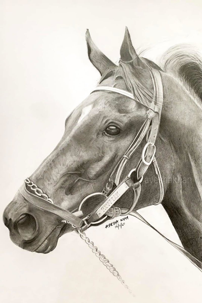 Happy Heavenly Birthday Ruffian 
Born April 17, 1972.
<a href="/claibornefarm/">Claiborne Farm</a> <a href="/EclassRacing/">Save Horse Racing</a> <a href="/belmontparksd/">Belmont Park</a> <a href="/nmrhof/">National Museum of Racing and Hall of Fame</a> #art #happybirthday  #tribute #thoroughbredracing <a href="/keeponracing/">HorseRacingWorld</a> <a href="/horsevault/">History of Horse Racing</a>