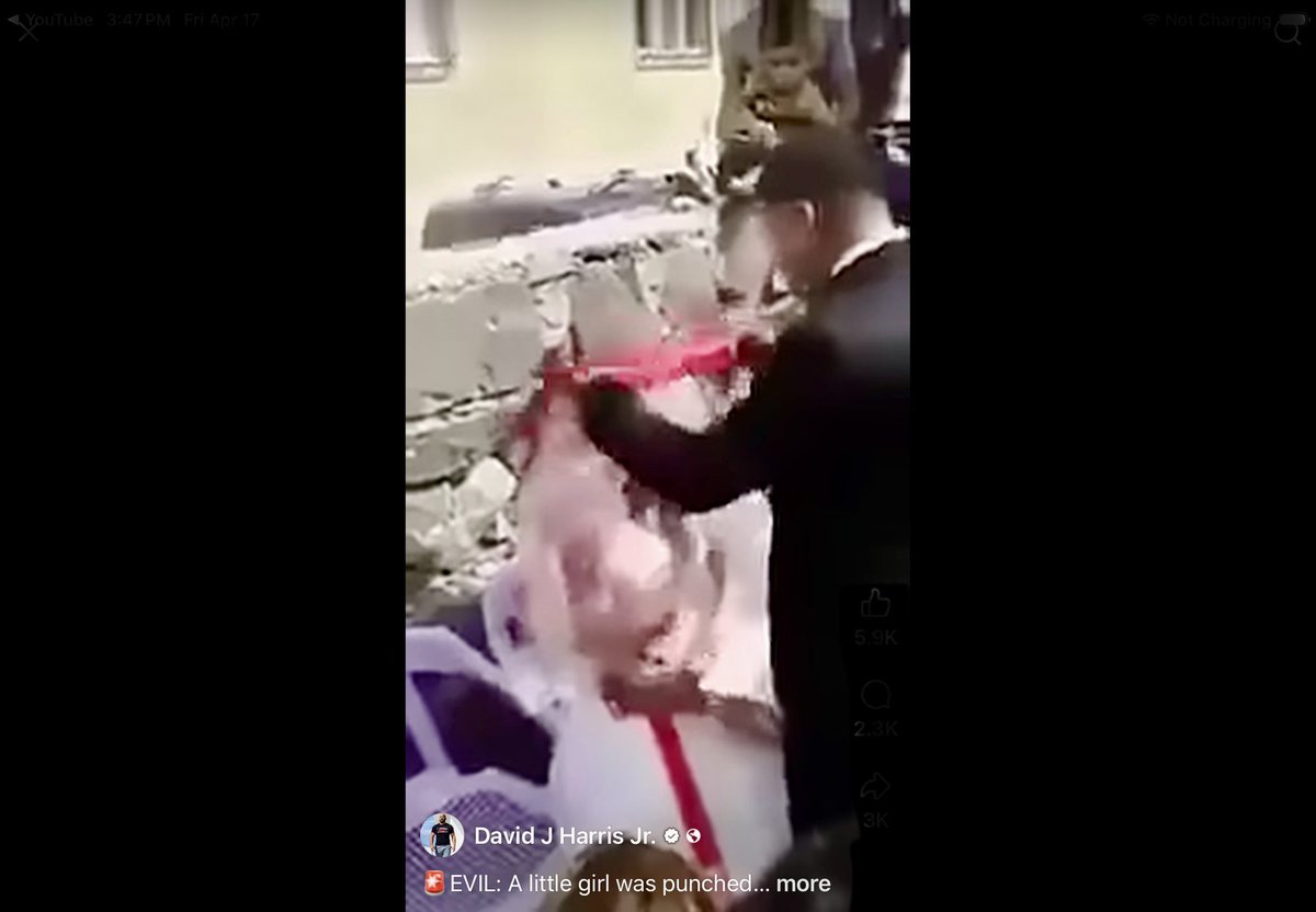 American Patriot tweet media