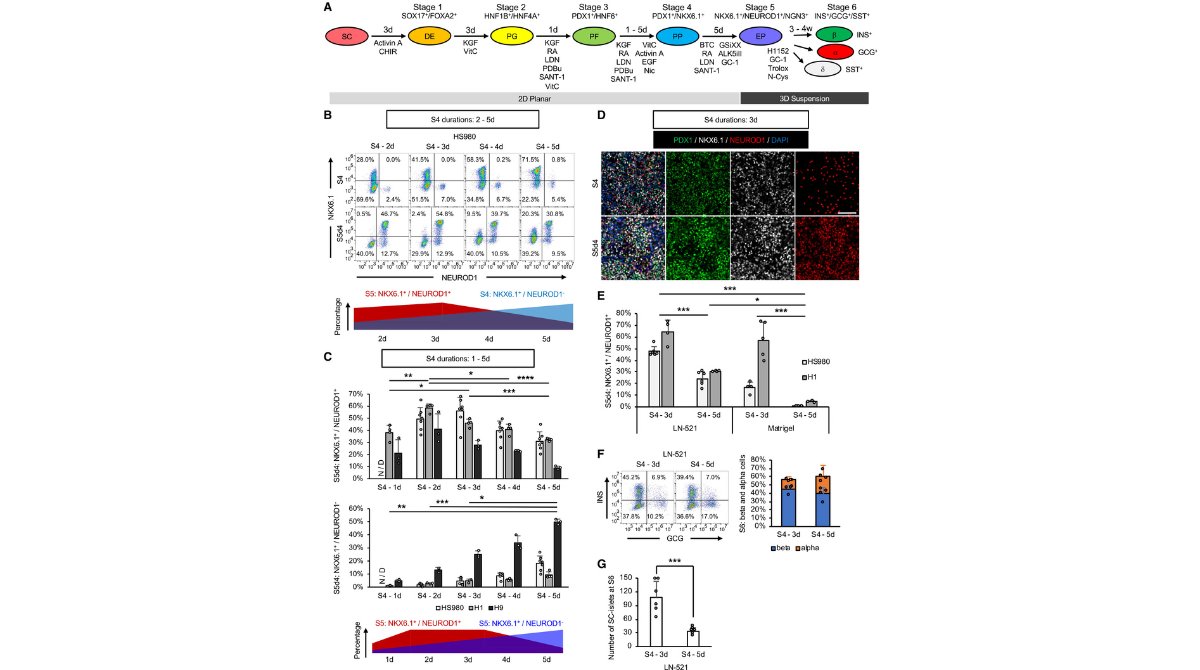 StemCellReports tweet media
