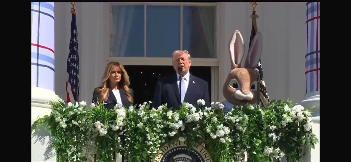 Troppo Buono tweet media