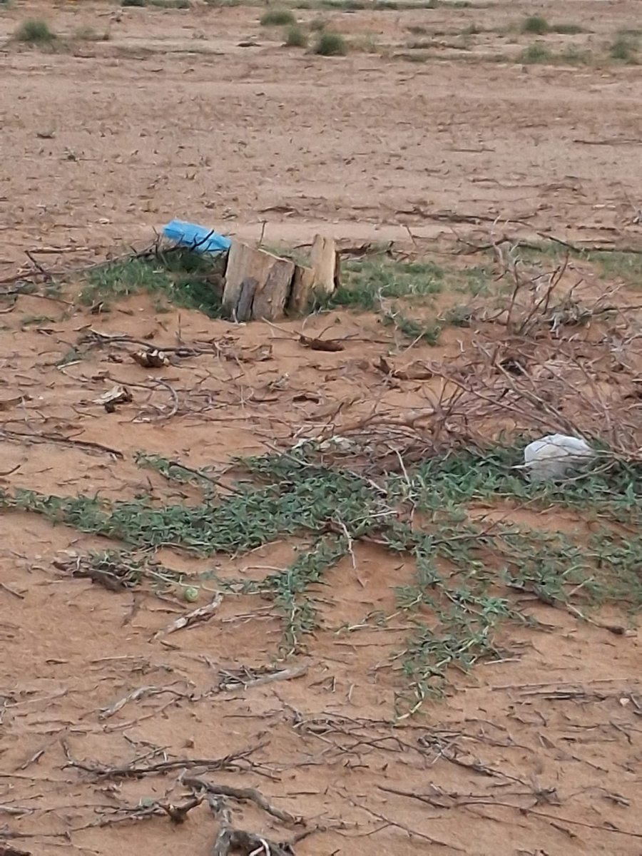 حمد الثبيتي tweet media