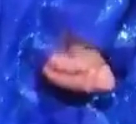 Fawklin Hunt tweet media