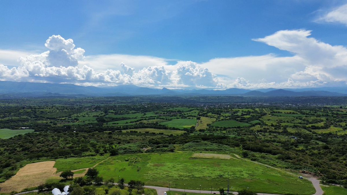 Diario de Morelos tweet media