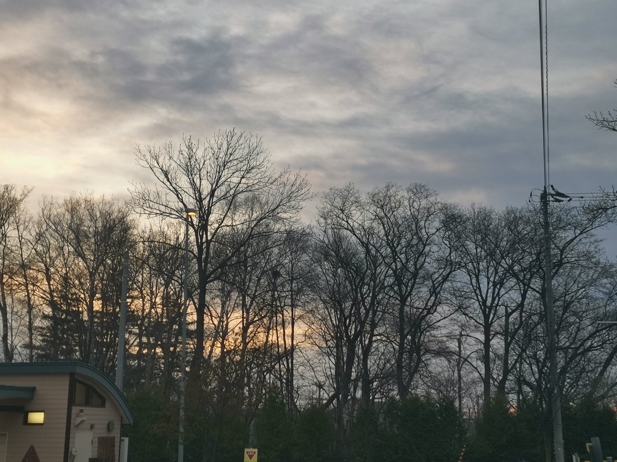 純大豆 tweet media