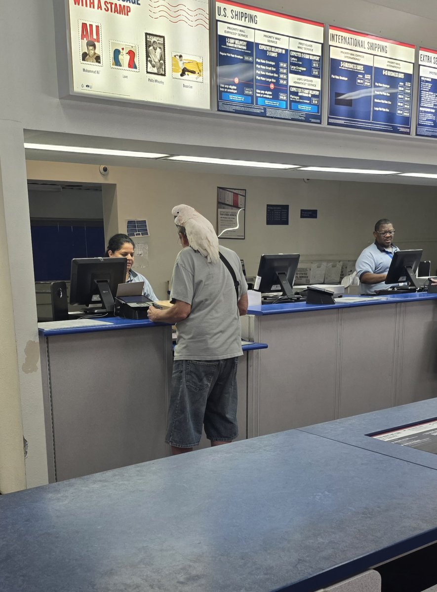 Chris Kelly tweet media