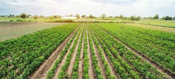 majinakou's tweet image. #spirits 🎳🎆♟️