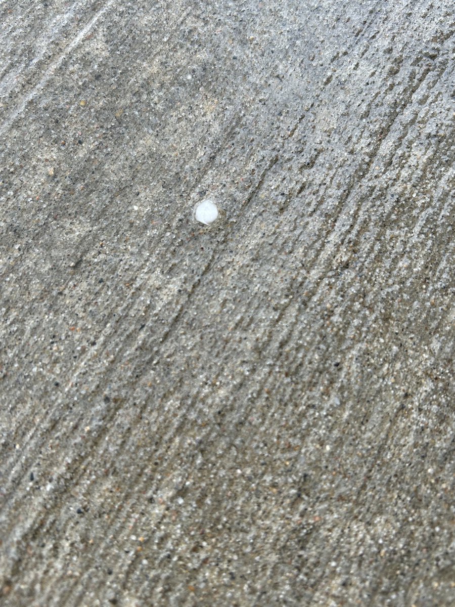 Scienceguy65203's tweet photo. Small hail…about half the size of a pea at John Warner Middle School just in time for dismissal. 

@KOMUMatt @kesley_wx @NWSStLouis https://t.co/k0H1kt2bGw