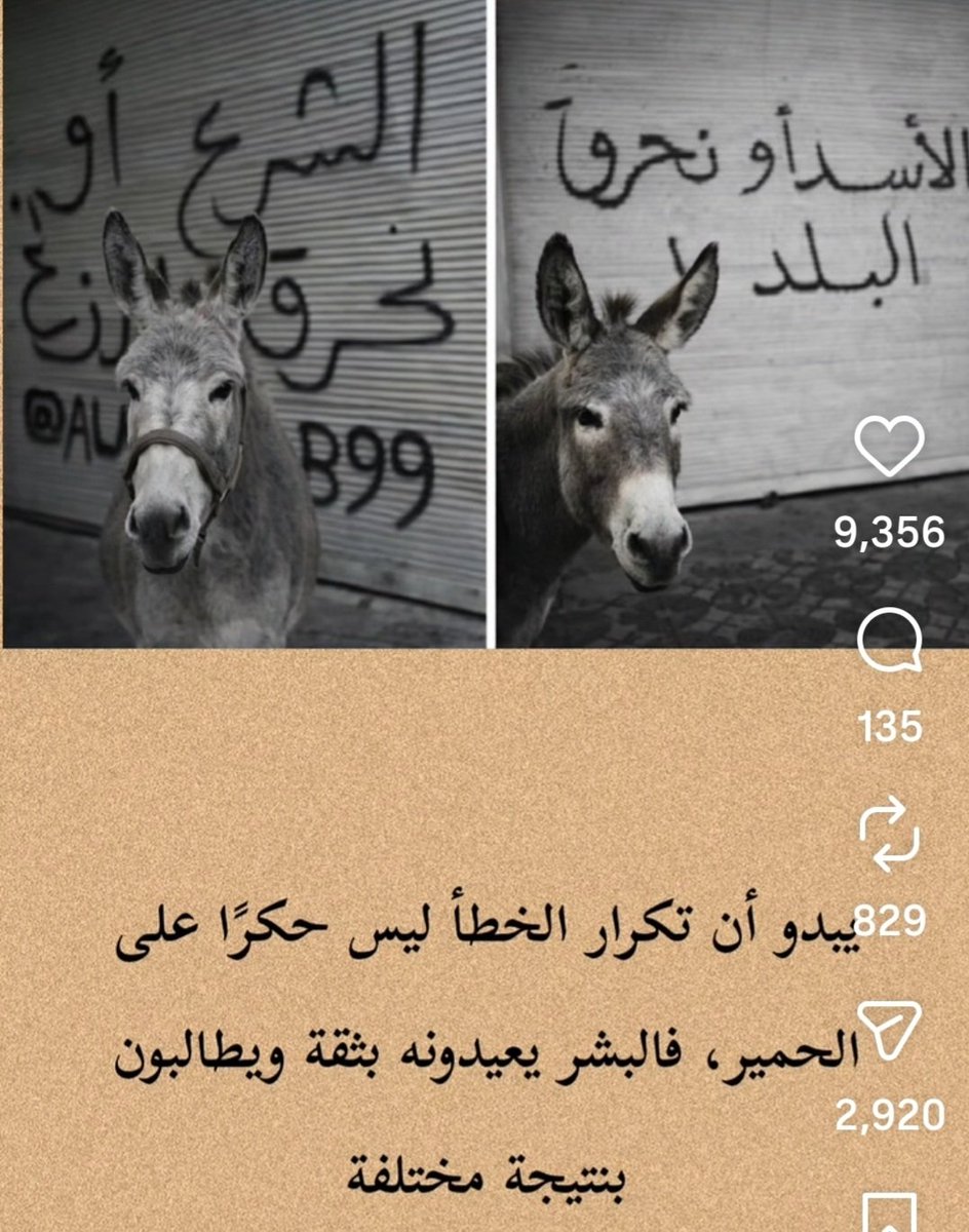 هيئة تدمير الشام tweet media